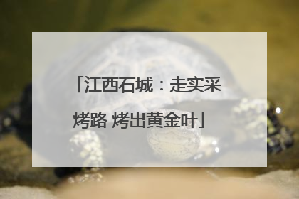 江西石城：走实采烤路 烤出黄金叶