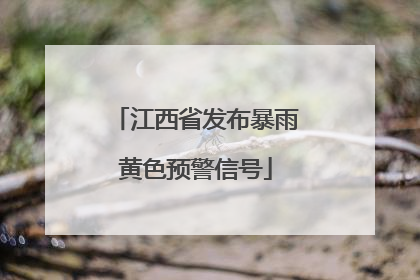 江西省发布暴雨黄色预警信号