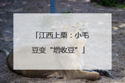 江西上栗：小毛豆变“增收豆”