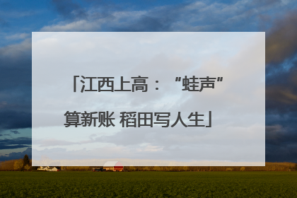 江西上高：“蛙声”算新账 稻田写人生