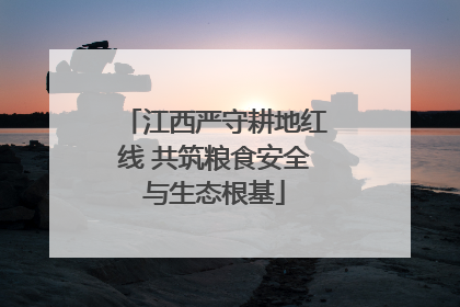 江西严守耕地红线 共筑粮食安全与生态根基