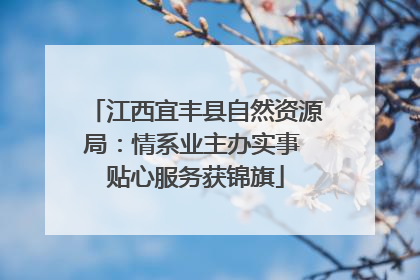 江西宜丰县自然资源局：情系业主办实事 贴心服务获锦旗