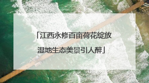 江西永修百亩荷花绽放 湿地生态美景引人醉