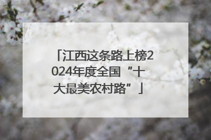 江西这条路上榜2024年度全国“十大最美农村路”