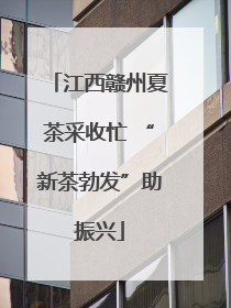 江西赣州夏茶采收忙 “新茶勃发”助振兴