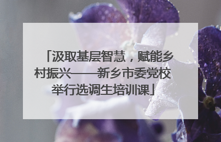 汲取基层智慧，赋能乡村振兴——新乡市委党校举行选调生培训课