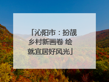 沁阳市：扮靓乡村新画卷 绘就宜居好风光
