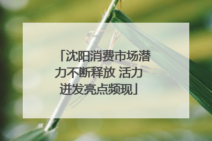 沈阳消费市场潜力不断释放 活力迸发亮点频现