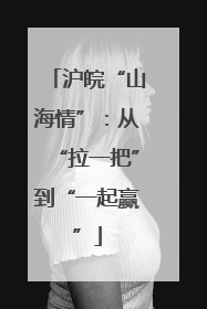 沪皖“山海情”：从“拉一把”到“一起赢”