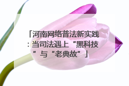河南网络普法新实践：当司法遇上“黑科技”与“老典故”
