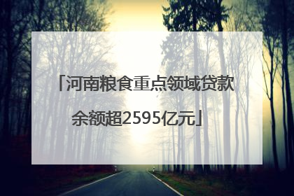河南粮食重点领域贷款余额超2595亿元