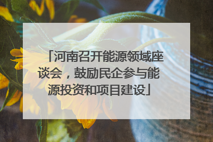河南召开能源领域座谈会，鼓励民企参与能源投资和项目建设