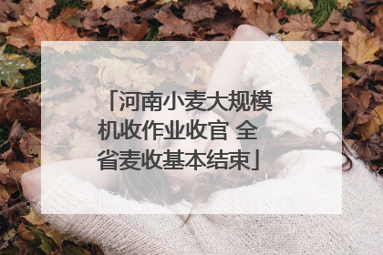 河南小麦大规模机收作业收官 全省麦收基本结束