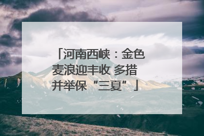 河南西峡：金色麦浪迎丰收 多措并举保“三夏”