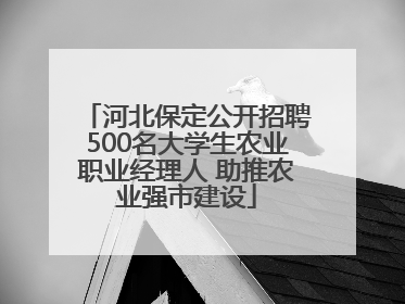 河北保定公开招聘500名大学生农业职业经理人 助推农业强市建设