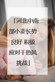 河北中南部小麦长势良好 积极应对干热风挑战