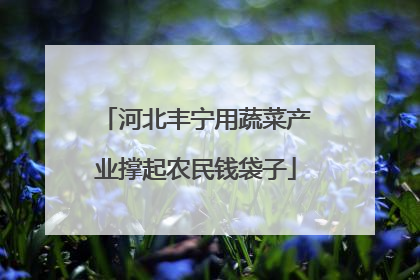 河北丰宁用蔬菜产业撑起农民钱袋子