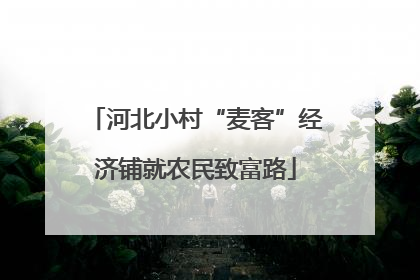 河北小村“麦客”经济铺就农民致富路