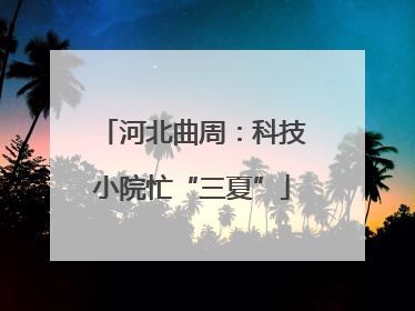 河北曲周：科技小院忙“三夏”