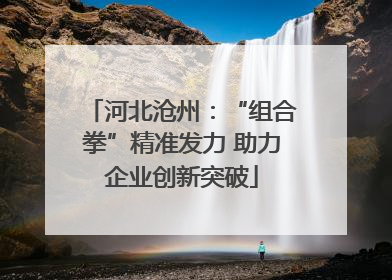 河北沧州：“组合拳”精准发力 助力企业创新突破
