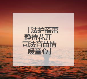 法护蓓蕾静待花开 司法育苗情暖童心