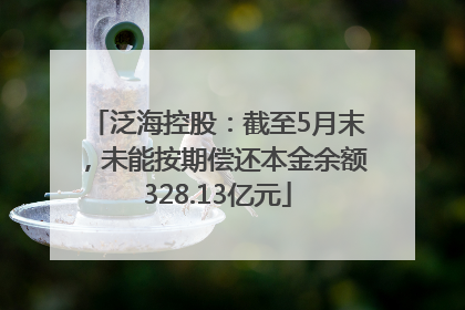 泛海控股：截至5月末，未能按期偿还本金余额328.13亿元