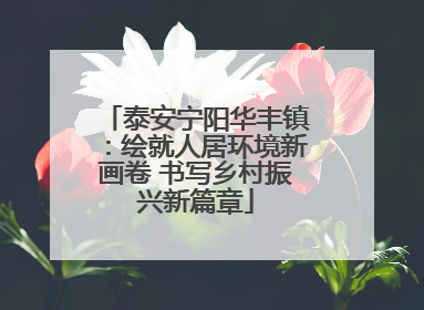 泰安宁阳华丰镇：绘就人居环境新画卷 书写乡村振兴新篇章