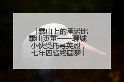 泰山上的承诺比泰山更重——聊城小伙受托寻英烈，七年四省终圆梦