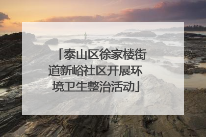 泰山区徐家楼街道新峪社区开展环境卫生整治活动
