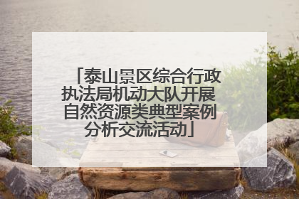 泰山景区综合行政执法局机动大队开展自然资源类典型案例分析交流活动