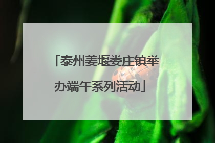 泰州姜堰娄庄镇举办端午系列活动