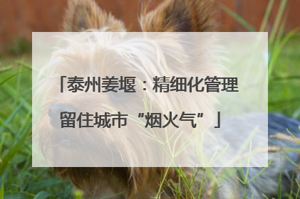 泰州姜堰：精细化管理留住城市“烟火气”