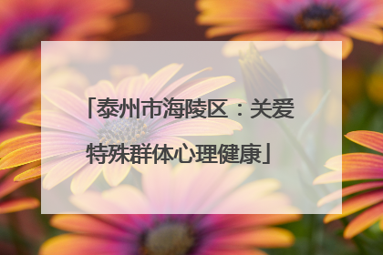 泰州市海陵区：关爱特殊群体心理健康