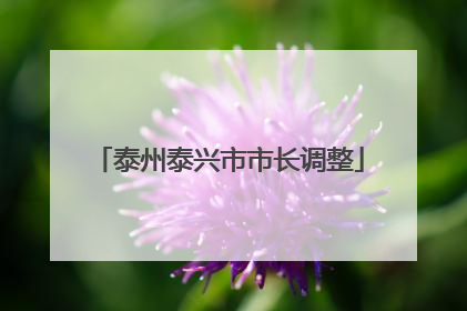 泰州泰兴市市长调整