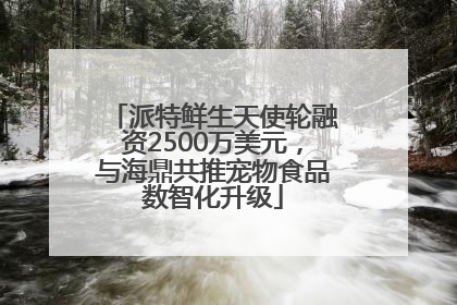 派特鲜生天使轮融资2500万美元，与海鼎共推宠物食品数智化升级