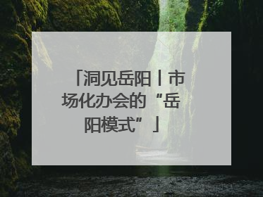 洞见岳阳丨市场化办会的“岳阳模式”