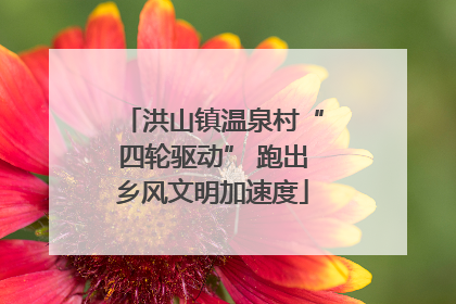 洪山镇温泉村“四轮驱动” 跑出乡风文明加速度