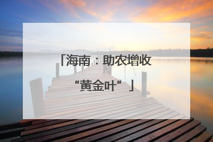 海南：助农增收 “黄金叶”