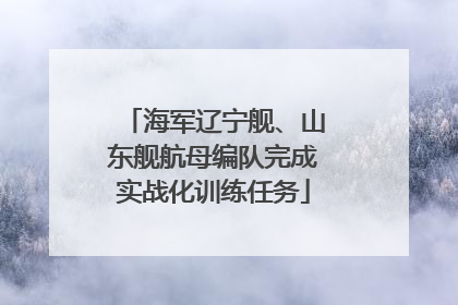 海军辽宁舰、山东舰航母编队完成实战化训练任务