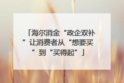 海尔消金“政企双补”让消费者从“想要买”到“买得起”