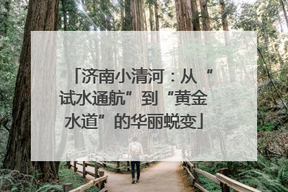 济南小清河：从“试水通航”到“黄金水道”的华丽蜕变