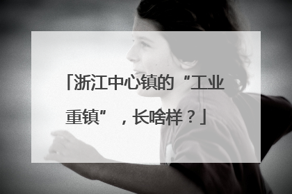 浙江中心镇的“工业重镇”，长啥样？