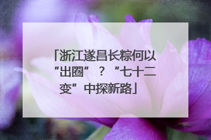 浙江遂昌长粽何以“出圈”？“七十二变”中探新路