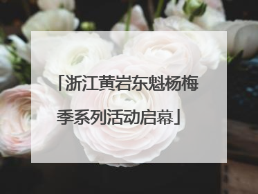 浙江黄岩东魁杨梅季系列活动启幕