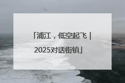 浦江，低空起飞｜2025对话街镇
