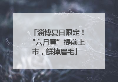 淄博夏日限定！“六月黄”提前上市，鲜掉眉毛