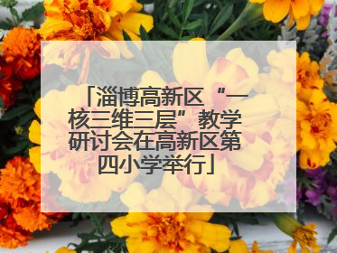 淄博高新区“一核三维三层”教学研讨会在高新区第四小学举行