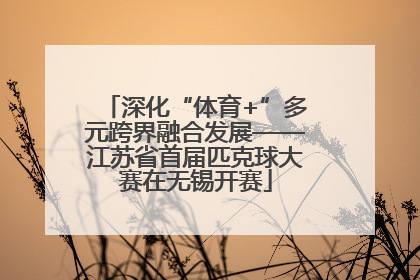 深化“体育+”多元跨界融合发展——江苏省首届匹克球大赛在无锡开赛