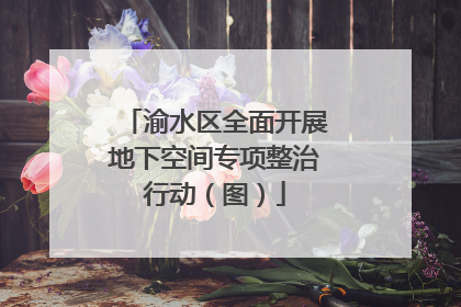 渝水区全面开展地下空间专项整治行动（图）