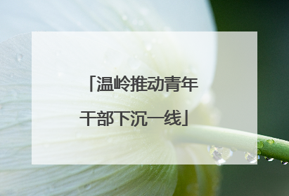 温岭推动青年干部下沉一线
